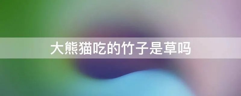 大熊猫吃的竹子是草吗