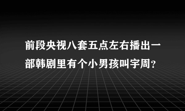 前段央视八套五点左右播出一部韩剧里有个小男孩叫宇周？