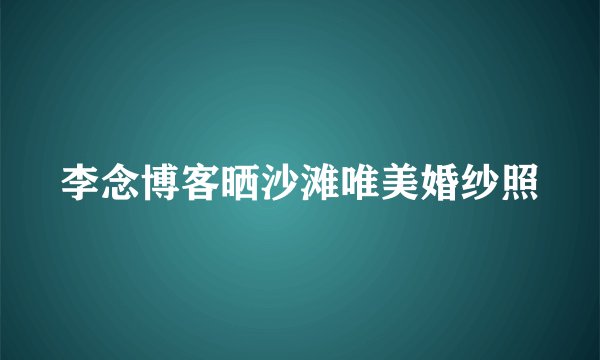 李念博客晒沙滩唯美婚纱照