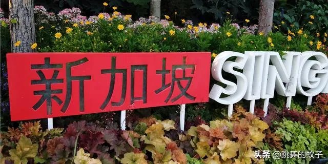 外出旅行住什么酒店最划算?