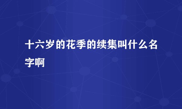 十六岁的花季的续集叫什么名字啊