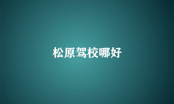 松原驾校哪好