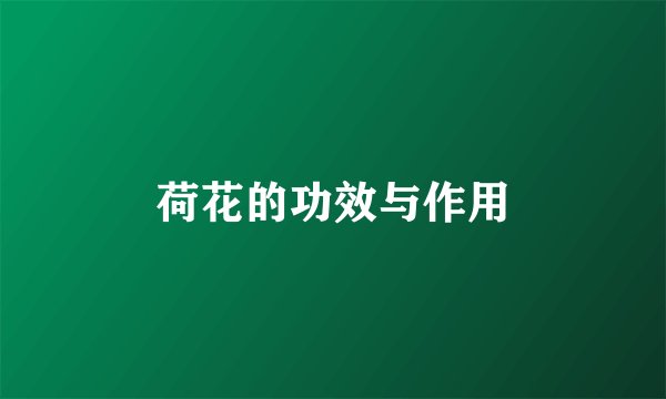 荷花的功效与作用