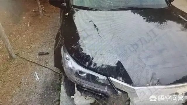 如何看待江西九江女司机开车睡着连撞18棵树?