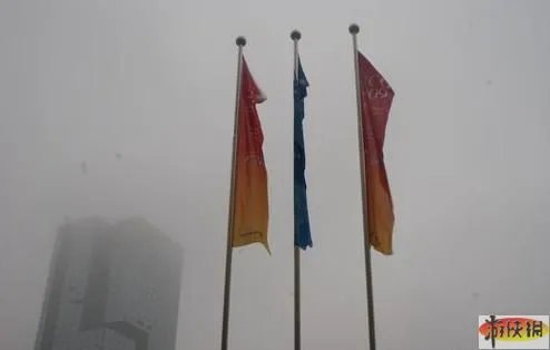 WCG2009世界总决赛成都展开 开幕现场选手图