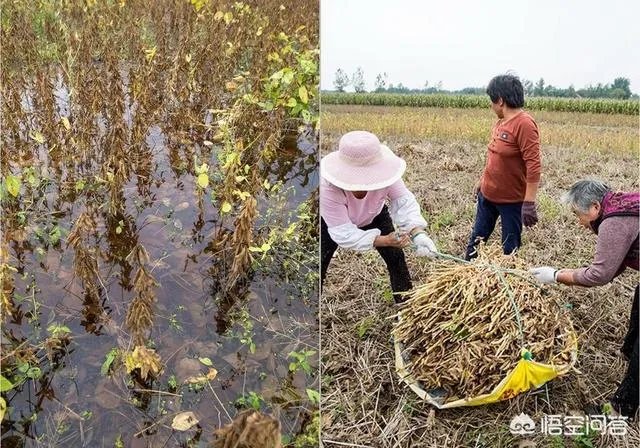民间说:“最怕端午节水,不怕七月半鬼”到底是什么意思?