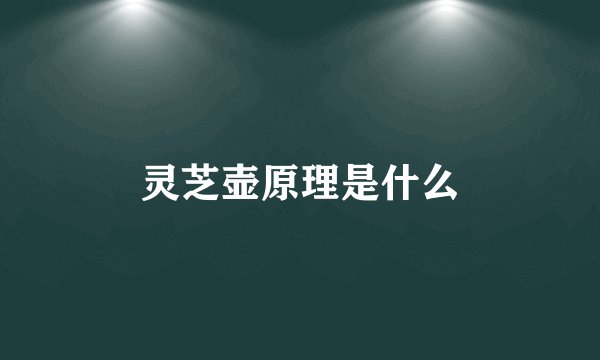 灵芝壶原理是什么