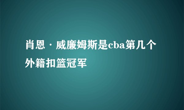 肖恩·威廉姆斯是cba第几个外籍扣篮冠军
