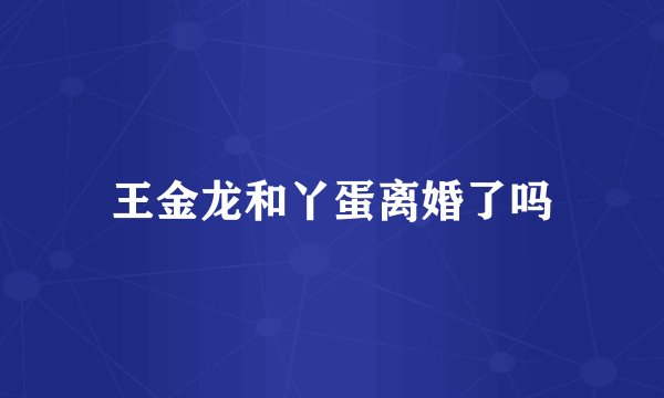 王金龙和丫蛋离婚了吗