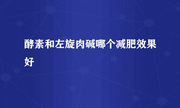 酵素和左旋肉碱哪个减肥效果好