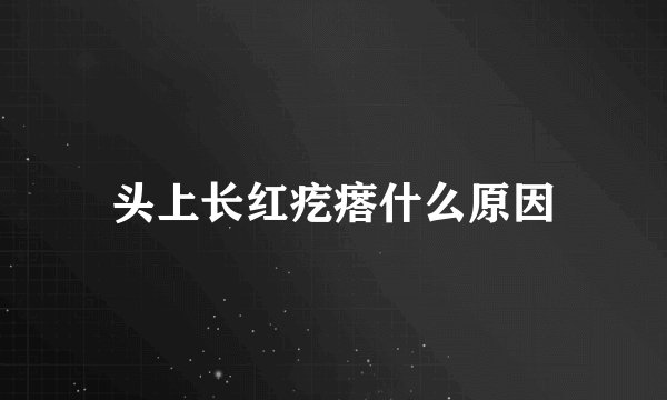 头上长红疙瘩什么原因