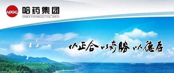 哈尔滨有哪些知名企业?
