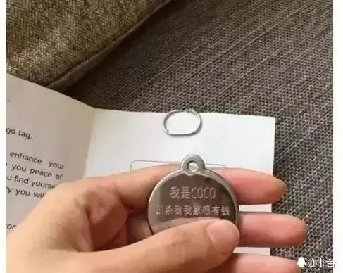 王思聪频繁约会网红，他的初恋是谁？