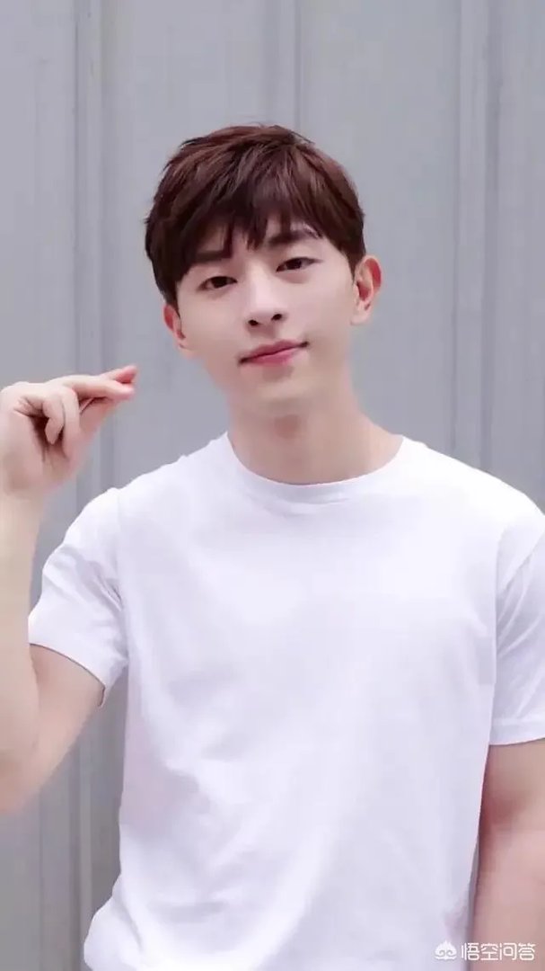 2019年最期待哪个明星上春晚?
