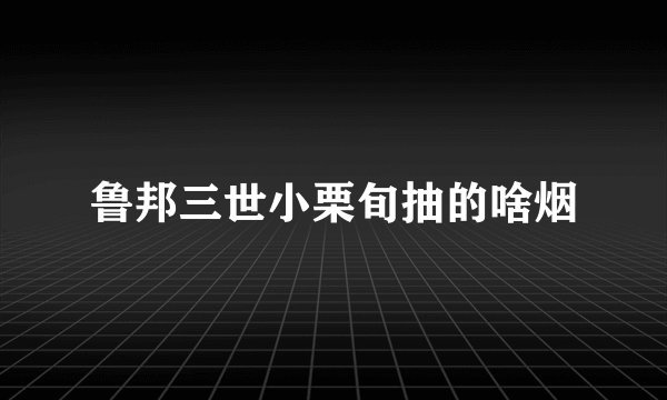 鲁邦三世小栗旬抽的啥烟