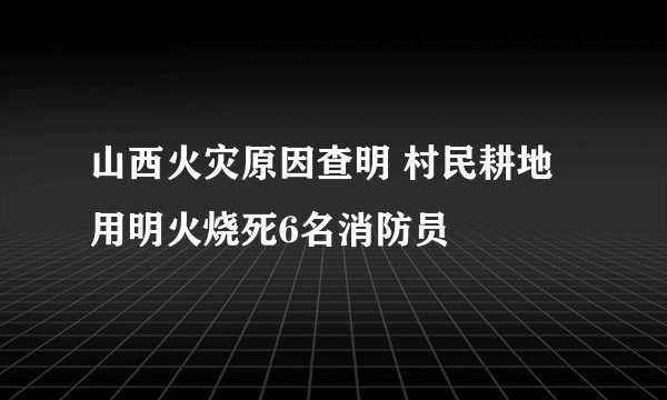 山西火灾原因查明 村民耕地用明火烧死6名消防员