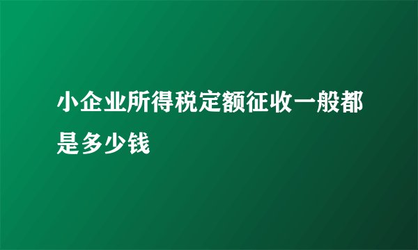 小企业所得税定额征收一般都是多少钱