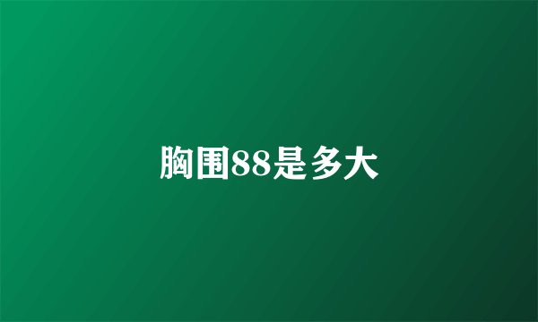 胸围88是多大
