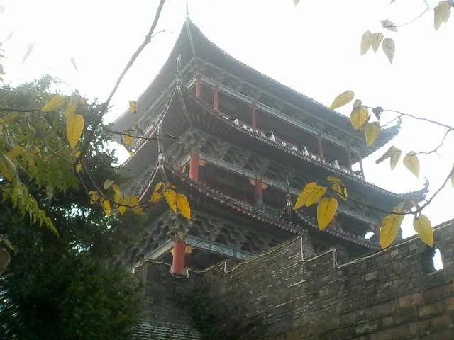 方舟子还在四处打假吗?