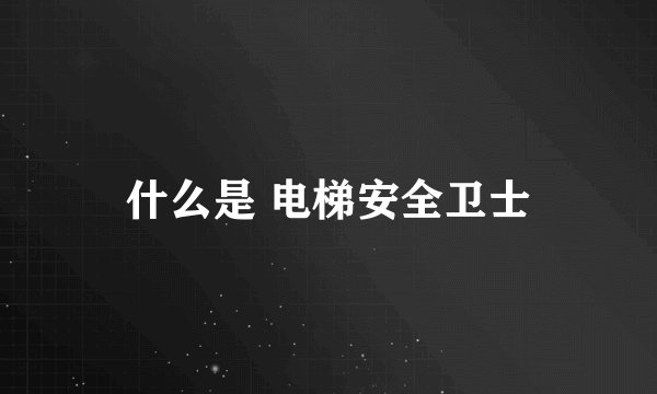什么是 电梯安全卫士