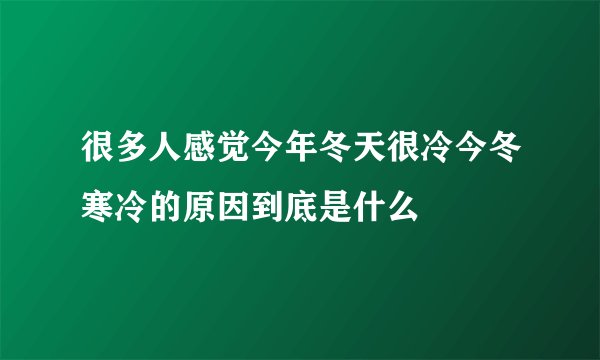 很多人感觉今年冬天很冷今冬寒冷的原因到底是什么