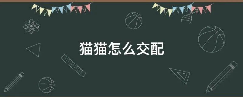 猫猫配种教学