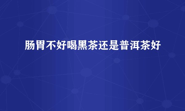 肠胃不好喝黑茶还是普洱茶好