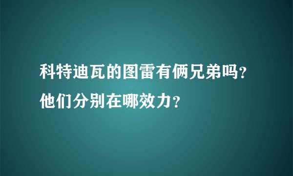 科特迪瓦的图雷有俩兄弟吗？他们分别在哪效力？