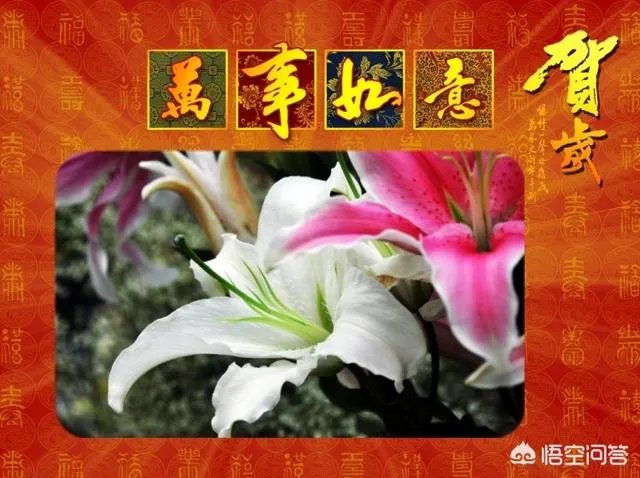 上联:一帆风顺年年好,如何对下联?