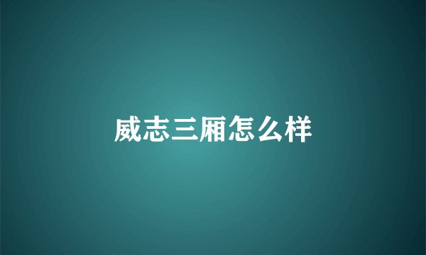 威志三厢怎么样