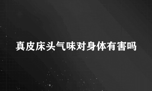 真皮床头气味对身体有害吗