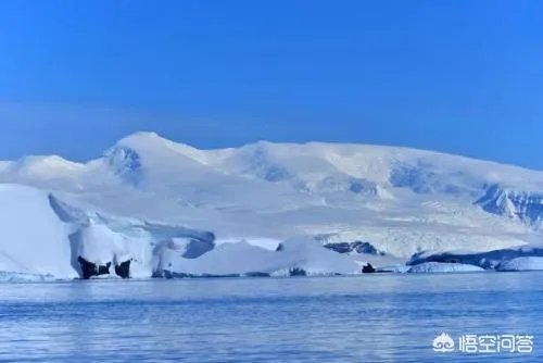 研究员在南极发现100年前水果蛋糕，几乎可以食用，这是为什么？