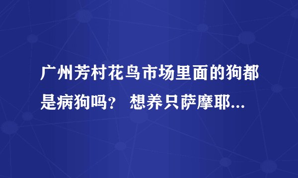 广州芳村花鸟市场里面的狗都是病狗吗？ 想养只萨摩耶，找不到自己养的，就想去花鸟市场碰运气，又怕里面