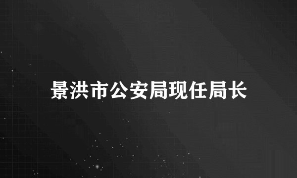 景洪市公安局现任局长