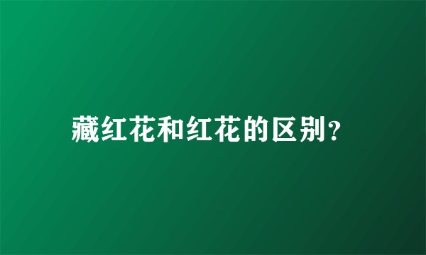 藏红花和红花的区别？