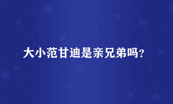 大小范甘迪是亲兄弟吗？