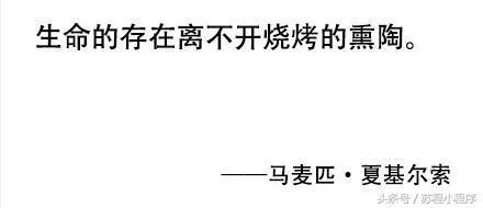 刘强东做了村长,你怎么看?