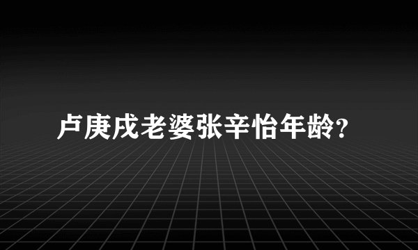 卢庚戌老婆张辛怡年龄？