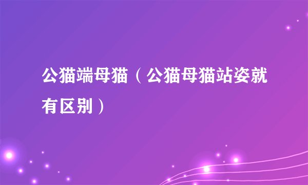 公猫端母猫（公猫母猫站姿就有区别）