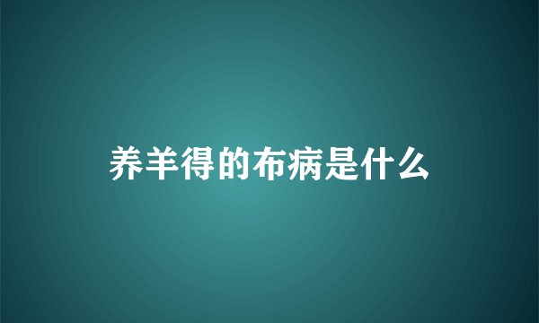 养羊得的布病是什么
