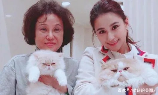 赌王曾送三太700万钻戒，可送过什么给黎婉华？赌王最爱哪个女人？
