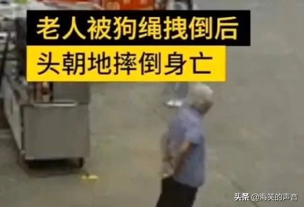 为什么佛山88岁老人被狗绊倒家属不追责?如何去理解这种做法?