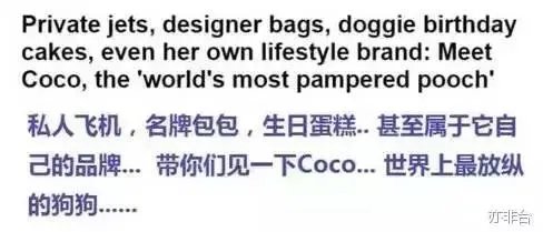 王思聪频繁约会网红，他的初恋是谁？