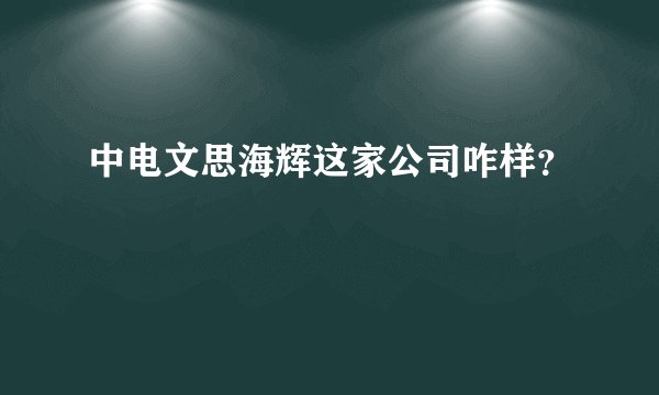 中电文思海辉这家公司咋样？