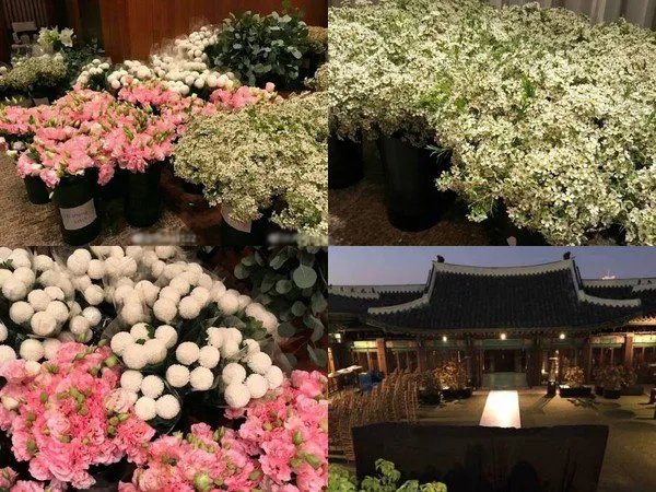 双宋CP婚礼会场满布什么花?