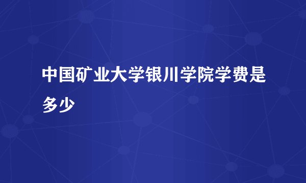 中国矿业大学银川学院学费是多少