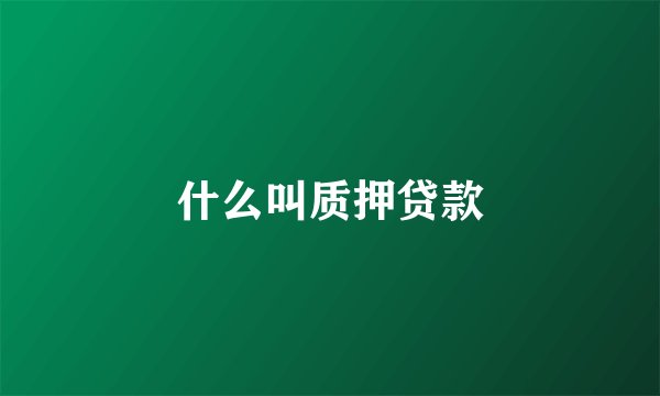 什么叫质押贷款