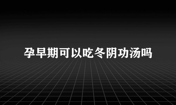 孕早期可以吃冬阴功汤吗