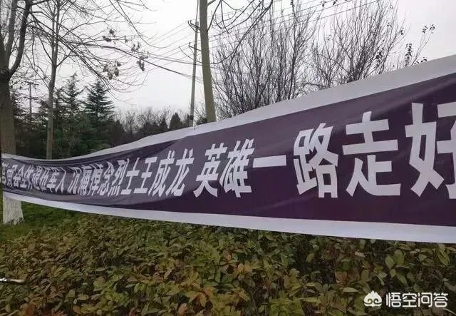 王成龙事迹