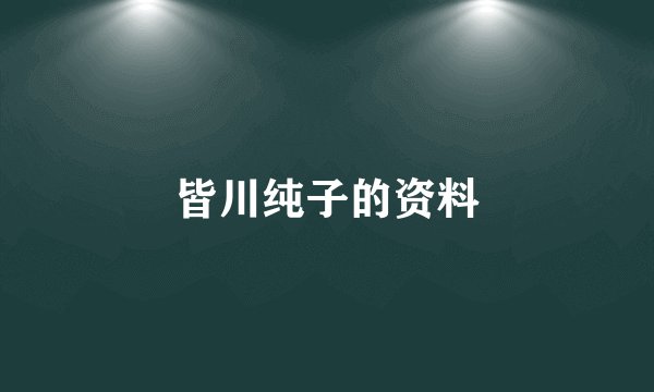 皆川纯子的资料